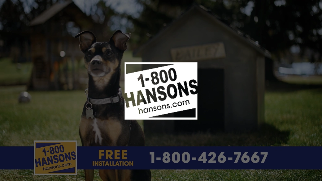 1-800-HANSONS